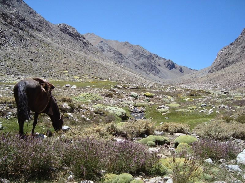فيلا Hurtadoفي Hacienda Los Andes المظهر الخارجي الصورة
