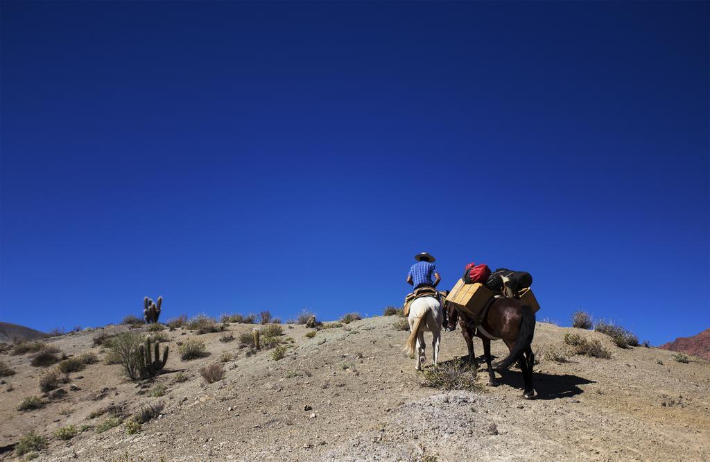فيلا Hurtadoفي Hacienda Los Andes المظهر الخارجي الصورة