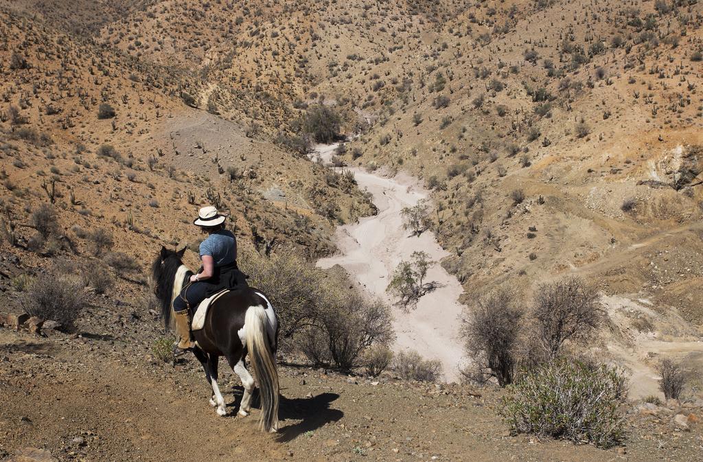 فيلا Hurtadoفي Hacienda Los Andes المظهر الخارجي الصورة