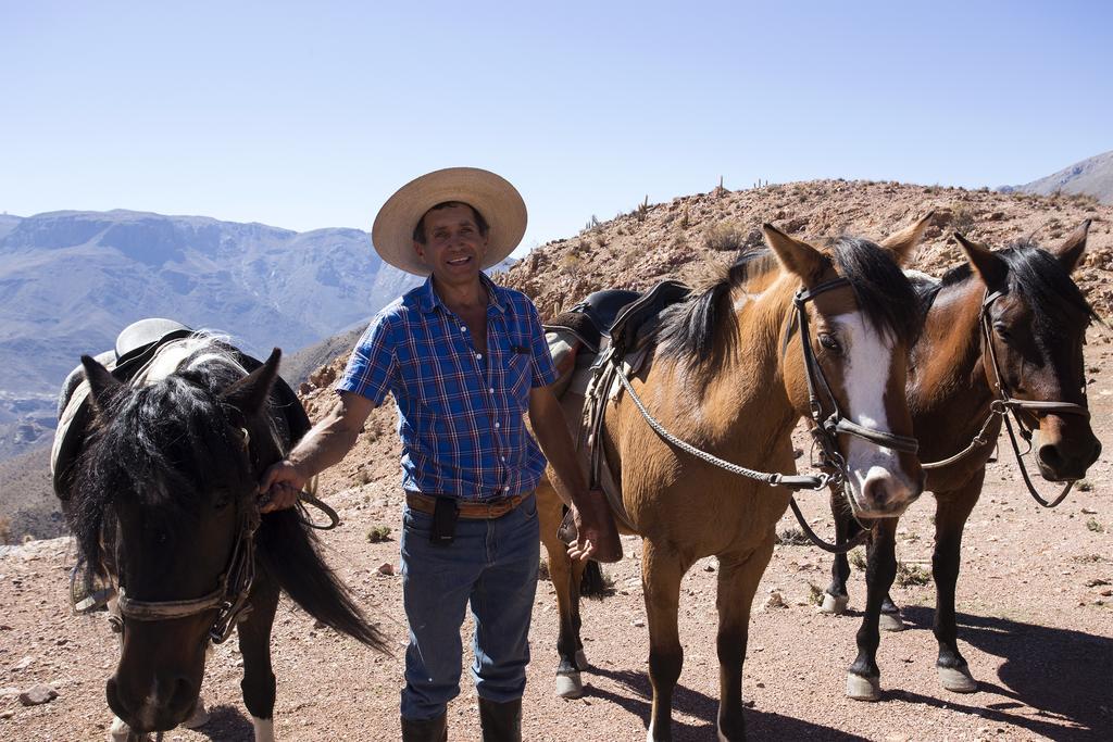 فيلا Hurtadoفي Hacienda Los Andes المظهر الخارجي الصورة